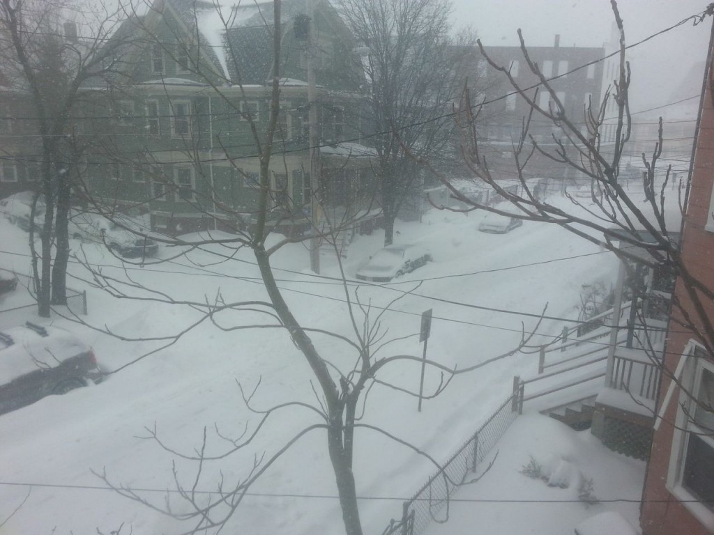 Jan 27 2015 snow