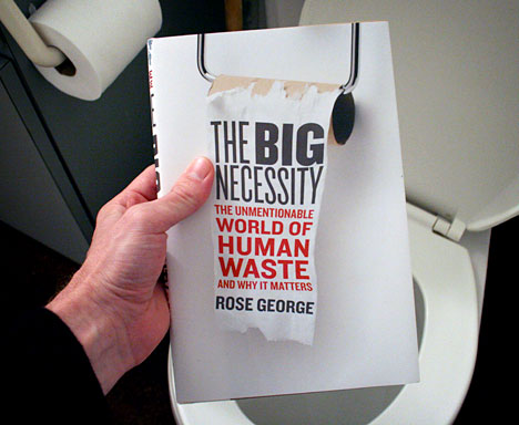 http://www.core77.com/posts/12286/book-review-the-big-necessity-adventures-in-the-world-of-human-waste-by-rose-george-12286